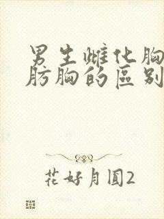 男生雌化胸和脂肪胸的区别