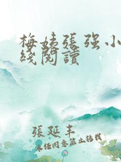 梅姨张强小说在线阅读