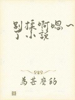 别揉啊嗯～出水了小说