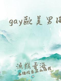 gay欧美男同