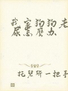 我家狗狗老是漏尿怎么办