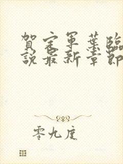 贺定军叶临渊小说最新章节更新内容