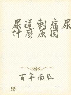 尿道刺痛尿浑浊什么原因