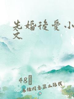 先婚后爱小说甜文