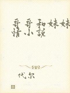 哥哥和妹妹的言情小说