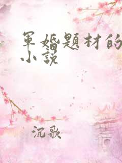 军婚题材的言情小说