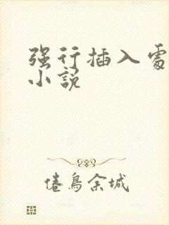 强行插入处女的小说