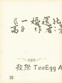 《一婚还比一婚高》 作者:晨雾的光