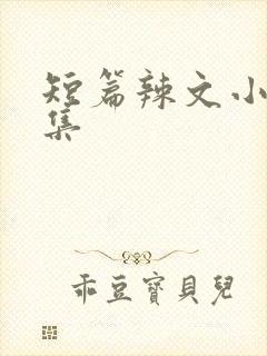 短篇辣文小说合集