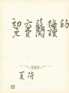 初六苏梅的小说免费阅读