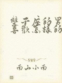 双子座的男孩子喜欢怎样的女生