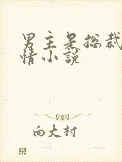 男主是总裁的言情小说