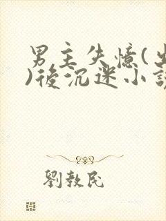 男主失忆(出轨)后沉迷小说