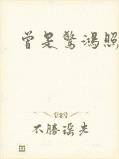 曾是惊鸿照影来