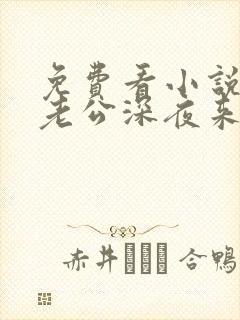 免费看小说隐婚老公深夜来