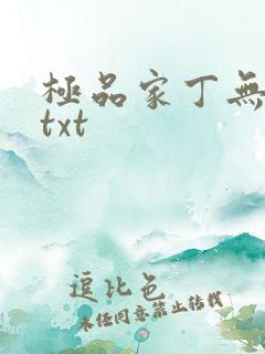 极品家丁无删减txt