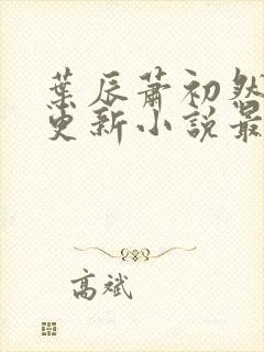 叶辰萧初然最快更新小说最新