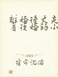 离婚后丈夫哭求着复婚的小说