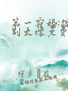 第一宠婚:总裁别太坏免费阅读全