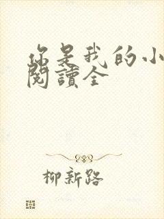 你是我的小确幸阅读全