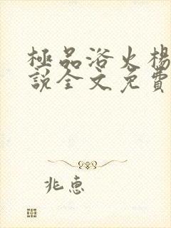 极品浴火杨宇小说全文免费阅读正版