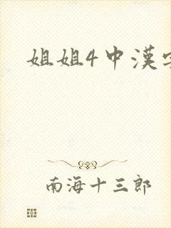 姐姐4中汉字