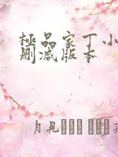 极品家丁小说无删减版本