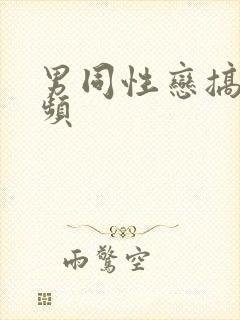 男同性恋搞基视频