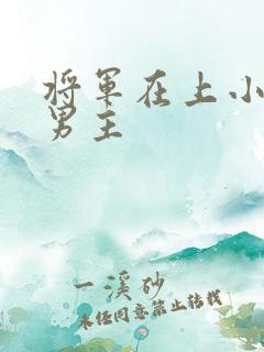 将军在上小说双男主