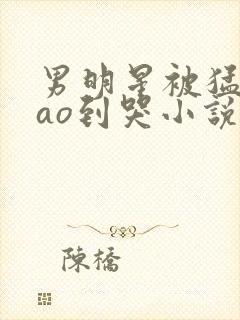 男明星被猛男cao到哭小说