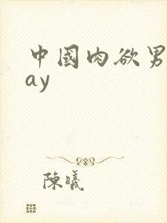 中国肉欲男同gay