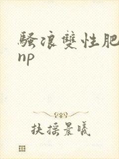 骚浪双性肥丑攻np