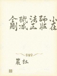 全职法师小说无删减正版在线阅读