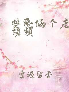 双飞俩个老熟女视频