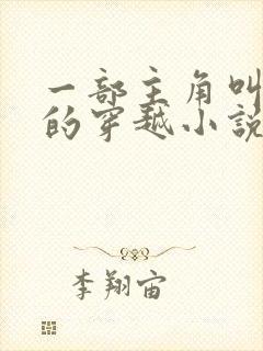 一部主角叫金锋的穿越小说