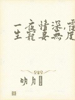 一夜情深,霍先生宠妻无度