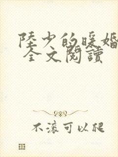 陆少的暖婚新妻 全文阅读