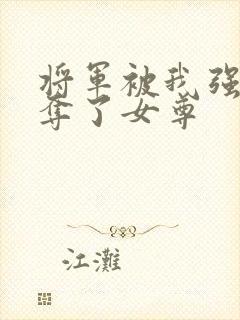 将军被我强取豪夺了女尊