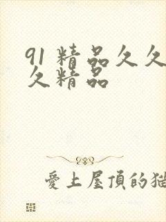 91 精品久久久精品