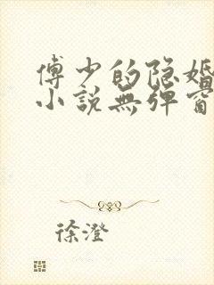傅少的隐婚娇妻小说无弹窗