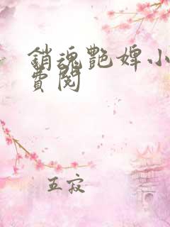 销魂艳婢小说免费阅