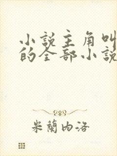 小说主角叫洛天的全部小说