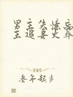 男主失忆忘了女主追妻火葬场