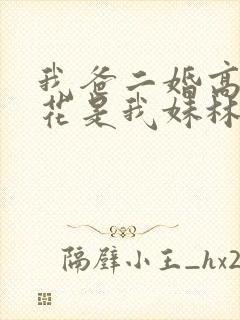 我爸二婚高冷校花是我妹林婉冰