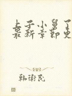 上子小舅了老婆最新章节更新时间