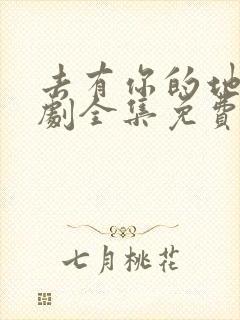 去有你的地方短剧全集免费观看