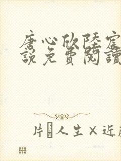 唐心欣陆宸泽小说免费阅读最新章节