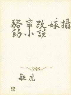 骆宁改嫁摄政王的小说