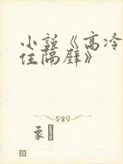 小说《高冷大叔住隔壁》