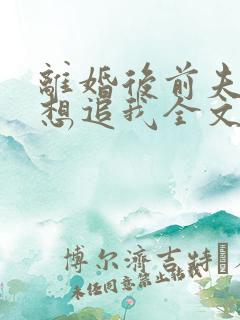 离婚后前夫总是想追我全文免费阅读